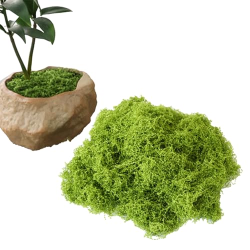 Alpha Depot フェイクモス 人工苔 100g ジオラマ用 装飾苔 盆栽 鉢植え 庭園 造花 観葉植物 模型 ディスプレイ用 (ライトグリーン)