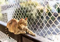 Kit Completo Rede Tela De Proteção Para Sacadas Janelas Gatos Crianças - 1,30m X 2,0m