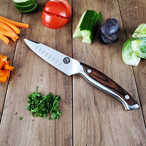 Ergo Chef Guy Fieri Knuckle Sandwich 4-Inch Paring Knife 8041 Premium 7Cr17Mov Stainless Steel Blade Hollow Ground Blade Custom Style Tip, Ergonomic Pakkawood Handle #TOP3