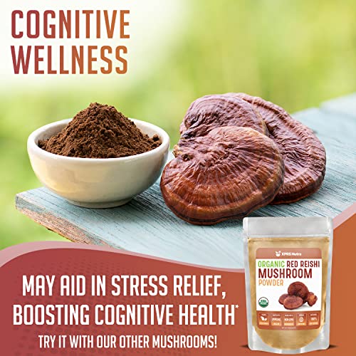 Xprs Nutra Mushroom Bundle - Lion's Mane, Chaga, Red Reishi Mushrooms - All Organic Mushroom Bundle (4 Ounces Each) #TOP2
