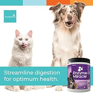 Digestive Enzymes for Dogs & Cats : Protein, Carbs, Starches & Fats Digestion : Supports Diet Change : Enzyme Miracle (364 Scoops, Powder)