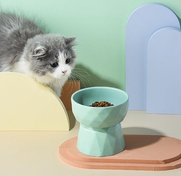 Image of PETANGEL Cat Ceramic Eelevated Anti Vomiting Pet Food Bowl (Pack Of 1 (Oval Mint Green)),?12.5 cm,H 11.5 cm,W 11.5 cm