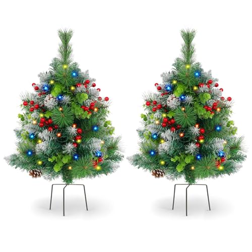 2 Pack Christmas Decorations Outdoor - 30" Pre-Lit Outdoor Christmas