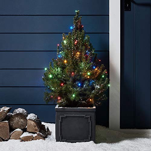 Preisvergleich Produktbild Lights4fun 50er LED Lichterkette bunt grünes Kabel Timer Innen Außen