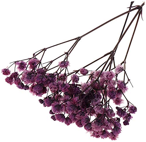 Flores y hojas secas prensadas naturales para manualidades miniatura 6