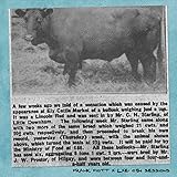 Aaahh!! Real Records