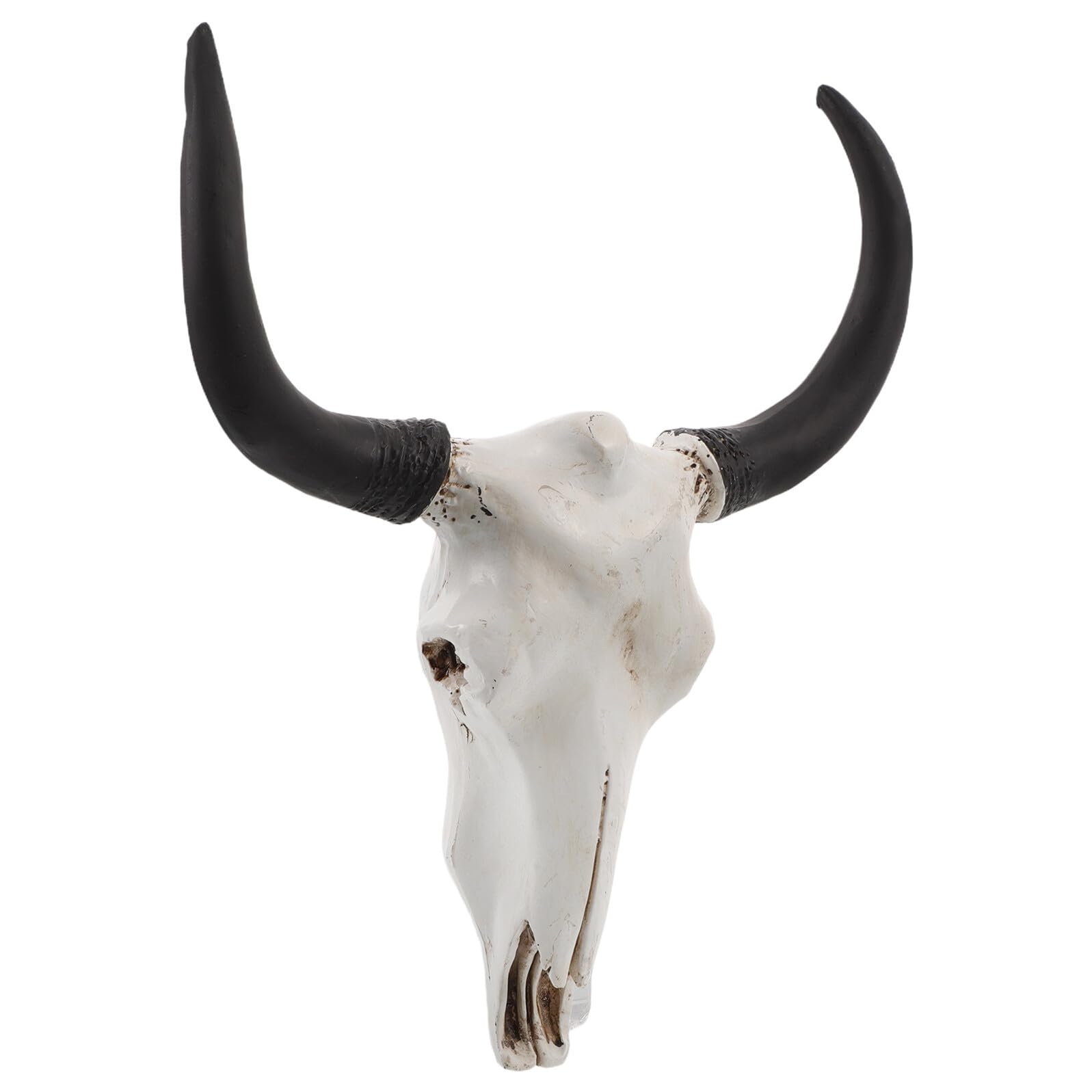JECOMPRIS Decorazione da Parete Teschio Corna Lunghe in Resina Artigianale Ornamento Horror a Tema Halloween per Arredamento Rustico e Stile Gotico Decorazione Murale Macabra per Casa e
