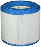 Filbur FC-1007 Antimicrobial Replacement Filter Cartridge for Master Eco-Pure Outer Spa Filter