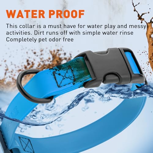 Image of Dogline Biothane Waterproof Dog Collar with Quick Release Buckle Strong Coated Nylon Webbing with Odor- Proof for Easy Care Easy to Clean Fits Small Medium or Large Dogs, Dogline Blue 3 /4 inch W 12-19 inch L