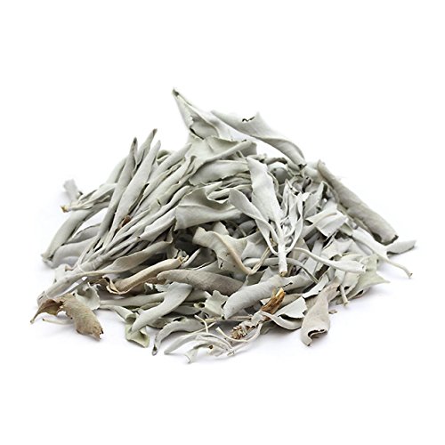 m nbs[{ n zCg Z[W NX^[ 20g I[KjbN JtHjAY VR p[Xg[ 