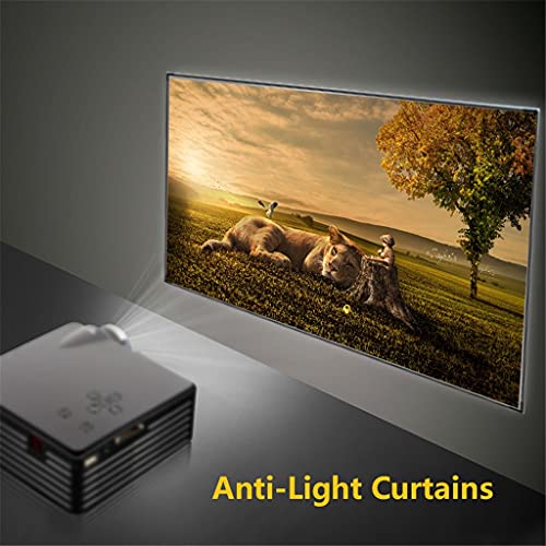 Pantalla manual portátil 16:9 para proyector miniatura 5