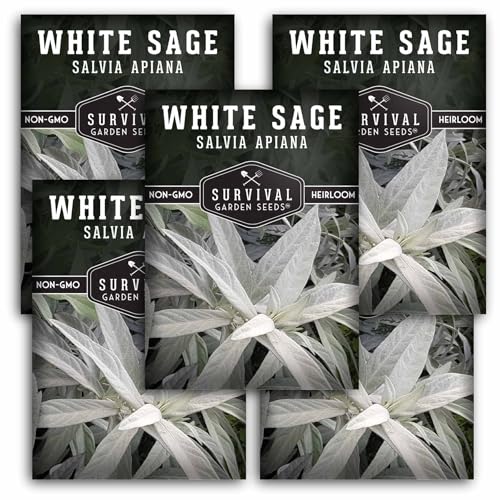 Survival Garden Seeds - White Sage Seeds for Planting - Grow Sustainable Smudging Herbs - 5 Packets with Instructions to Plant & Grow in Your Home Garden - Non-GMO Heirloom Variety