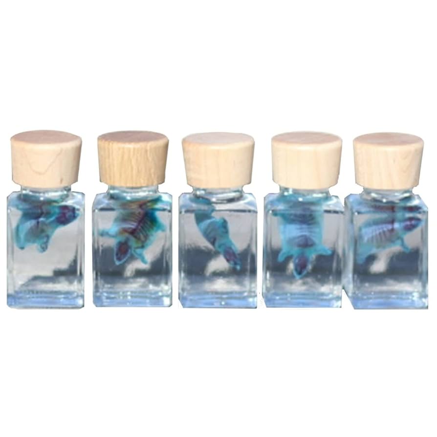 スッポン　透明標本 Amazon.co.jp: 「透明標本 スッポン」skelton スケルトン クリア