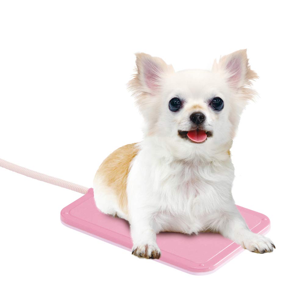 Amazon | マルカン リバーシブルホッとヒーター 8W 犬用 ミニ