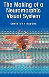 The Making of a Neuromorphic Visual System