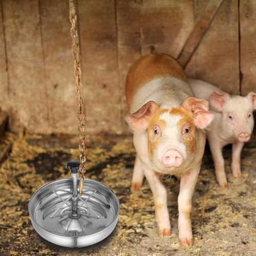 Mangeoire à cochons compartimentée pour stopper le gaspillage - 6