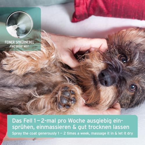 AniForte Fellgeruch-Stop Hund & Katze 200ml - Fellspray gegen Hundegeruch & Katzengeruch, Natürlicher Geruchsneutralisierer für Langhaar & Kurzhaar, Geruchsentferner bei Tiergerüchen