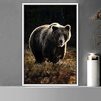 Framed Canvas Wall Art Bear Animals Bear Expressive Living Room Multicolor Photography Tropical - 16x24 inches