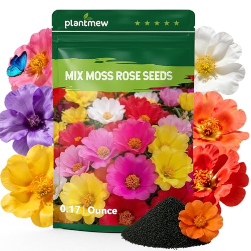 30 000+ Moss Rose Seeds for Planting Portulaca Seeds for Ground Cover Drought Tolerant Annual Flowers for Gardens Borders Containers & Landscaping