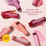Burt'S Bees Hibiscus Balsam do Ust, 4.3 g