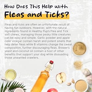 Flea and Tick Prevention for Dogs, Chewable – 90 Peanut Butter Flavored Soft Chews – Made with B Vitamins, Garlic Powder, Brewers Yeast, Coconut Oil, and Apple Cider Vinegar