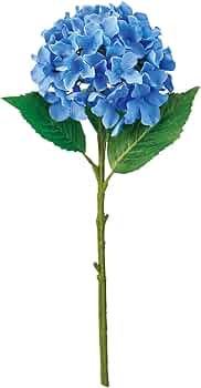 51yVRXDBK0L._AC_UF350, 51yVRXDBK0L._AC_UF350,