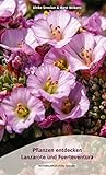 Pflanzen entdecken: Lanzarote und Fuerteventura - Ulrike Strecker, Horst Wilkens 