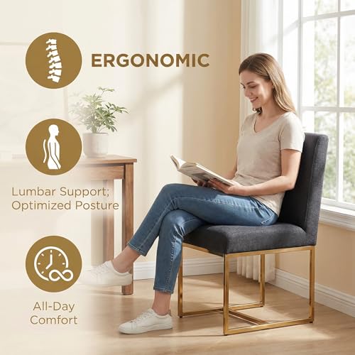 Image of HNY Modern Dining Chairs Set of 2, Upholstered Linen Dining Room Chairs with Ergonomic Back & Polished Gold Metal Frame for Home, Kitchen, Apartment, Charcoal Black