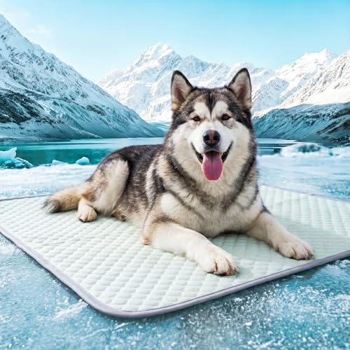 Image of PatiencET Extra Large Dog Cooling Mat, 40 x 50 in XL No-Gel Cooling Pad for Large Dogs, Cool Touch Pet Mat with Ice-Dot Texture, Washable Summer Dog Mat for Bed, Floor, Crate, Sofa, Car, Light Green