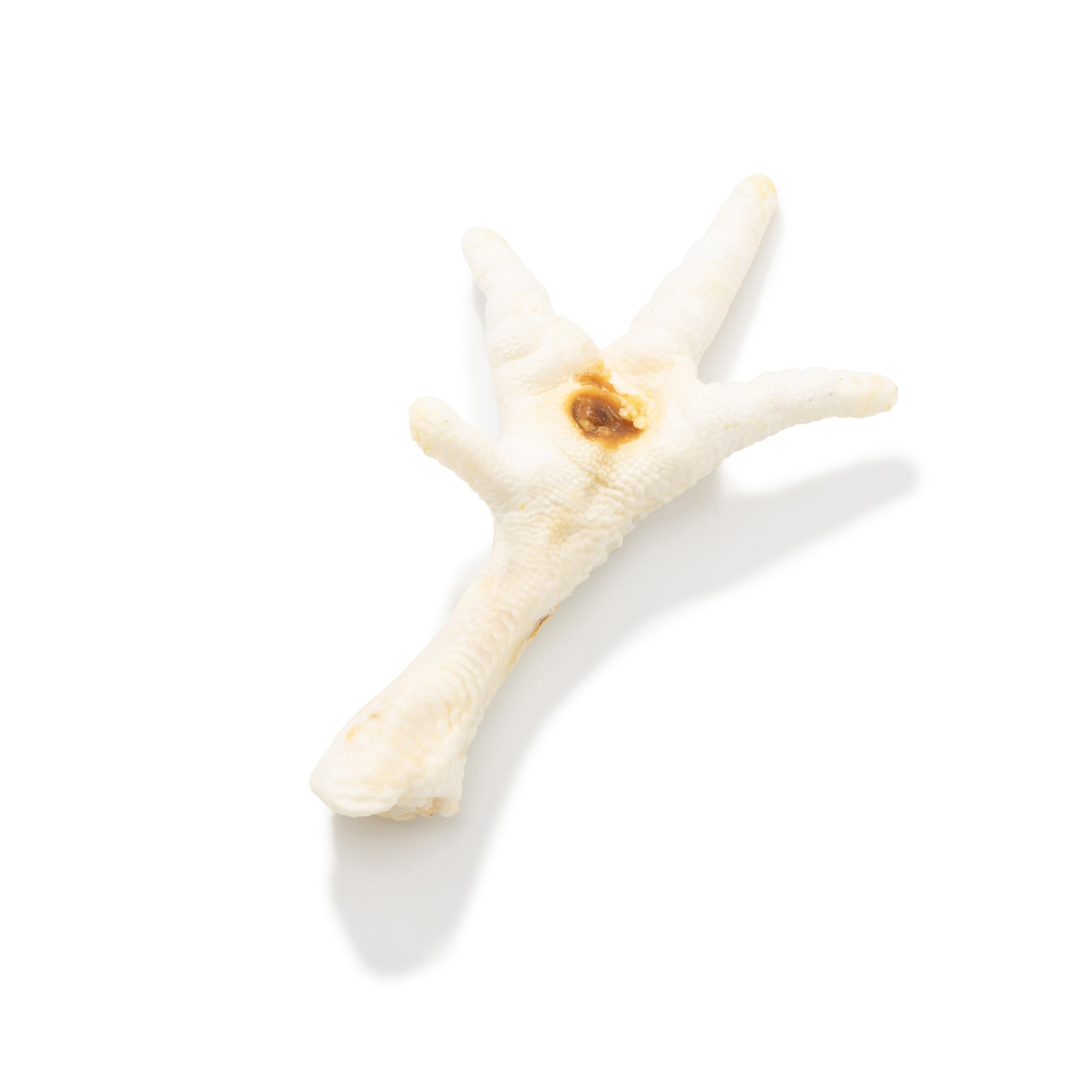 Natural Treats Puffed Chicken Feet for Dogs (3kg) Natural Healthy Low Odor High Protein Treat โ image 1