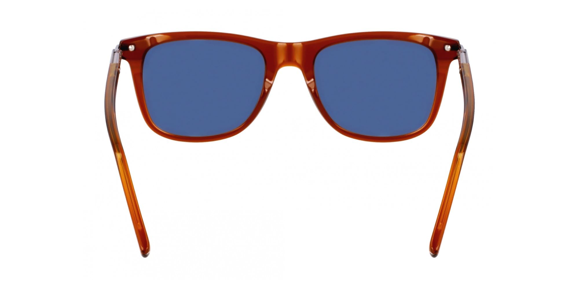 FERRAGAMO Unisex SF2028S Sunglasses, TRASPARENT Brown, 54, marrone trasparente, 54
