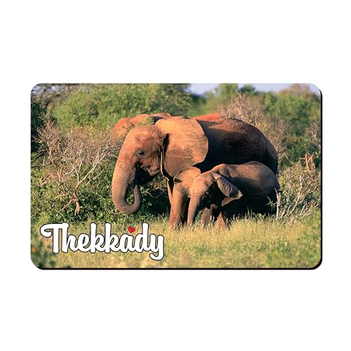 Image of Elegant Fridge Magnet with Themes |Rectangular Size Refrigerator Magnet with Magnetic Rubber Back | Pack of 1, 8.6cm X 5.4cm (Thekkady)
