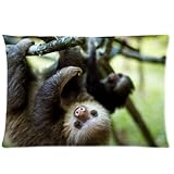 Animals Cute Sloth Hanging In The Tree Design Zippered pillowcase Pillowslip Decorate Sofa Bed Pillow case cover(2030 inches)