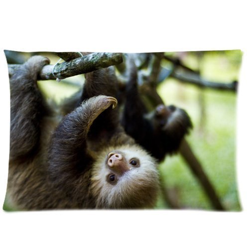 Animals Cute Sloth Hanging In The Tree Design Zippered pillowcase Pillowslip Decorate Sofa Bed Pillow case cover(2030 inches)
