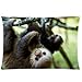 Animals Cute Sloth Hanging In The Tree Design Zippered pillowcase Pillowslip Decorate Sofa Bed Pillow case cover(20*30 inches)