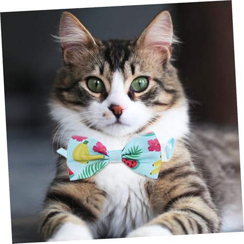 WEKADRIN 8 ybgp\t[c{E֓_ ^Lp킢ČANZT[