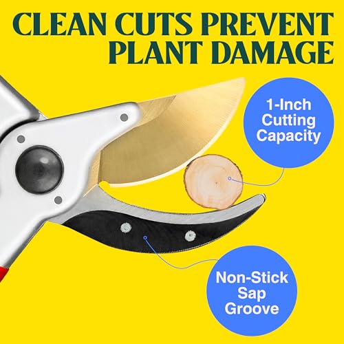 Image of Haus & Garten ClassicPRO 8.5 inch Premium Titanium Bypass Garden Shears - Use as Pruners, Pruning Shears for Gardening, Hand Pruners, Handheld Garden Clippers Scissors Tool