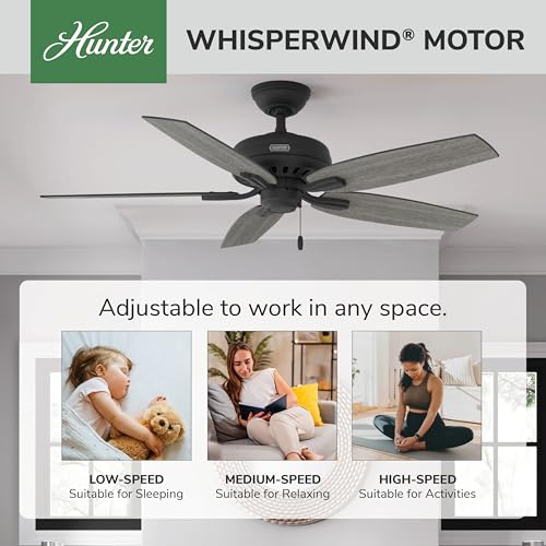 Image of Hunter Newsome, Indoor, Ceiling Fan, No Light, Quiet, 52 inch, Matte Black