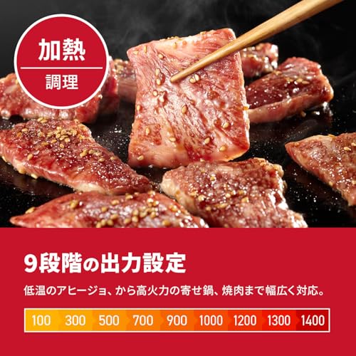 ROOMMATE TDP-i001-HDL1484-03 の商品画像 3