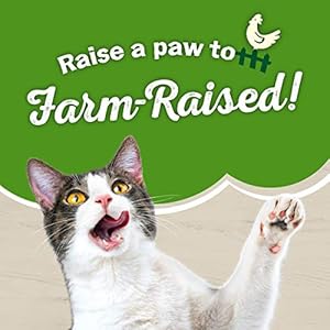 Purina friskies dry cat meals farm favorites with hen  22 lb Bag   cucciolini doodles