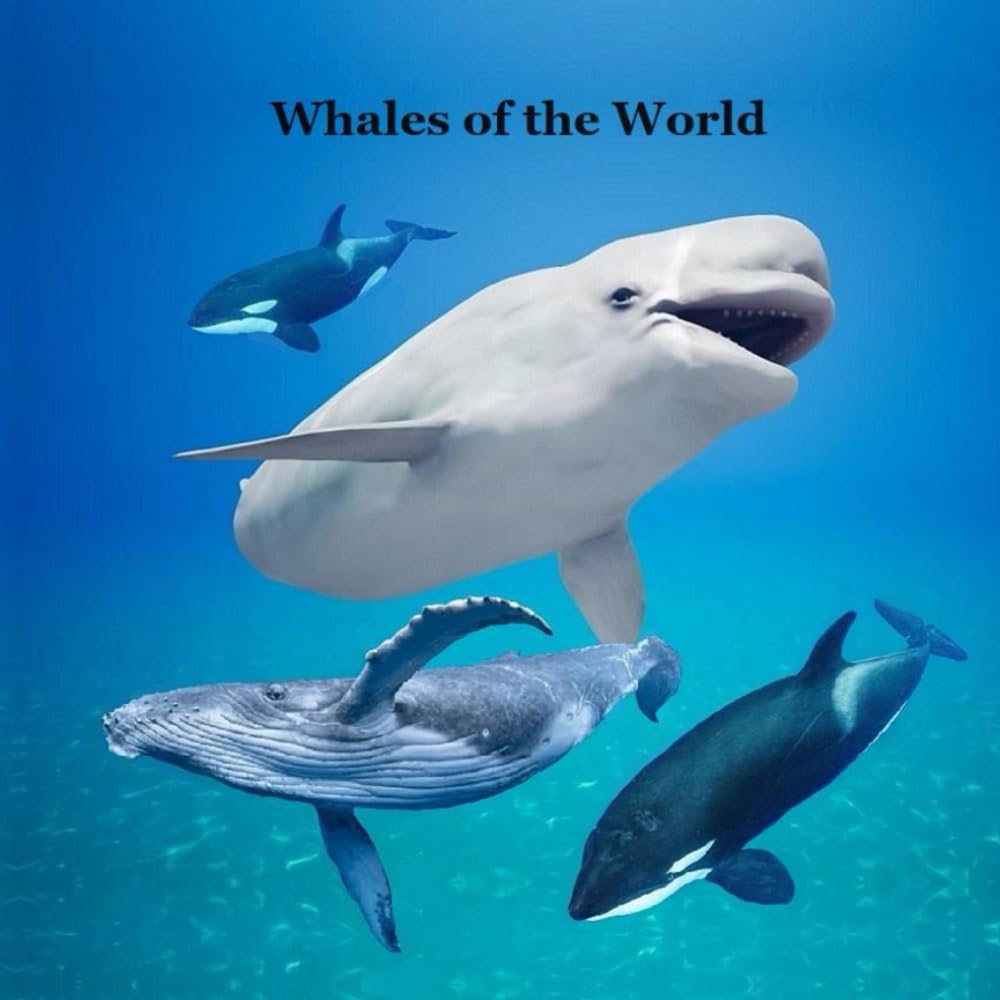 Whales of the World Kids Book: Great Way for Kids to Meet the World's Whales