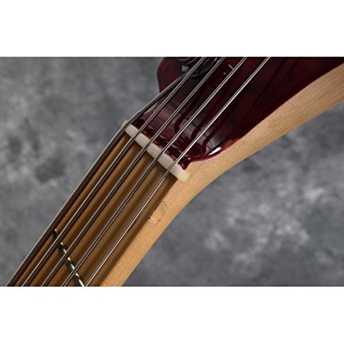 Amazon.co.jp: Edwards/E – AM – 150qm Black Cherry : Musical