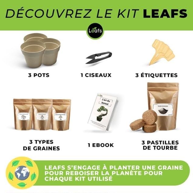 Kit Bonsai Plantation Coffret Cadeau Original Homme Femme Graines Glysines Pin Copalme Plantes Intérieur Extérieur