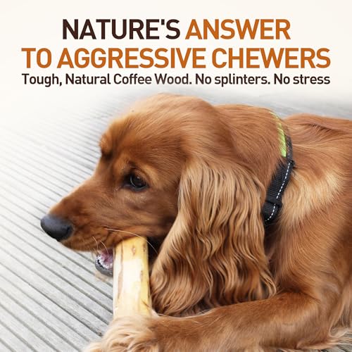 Wildfang® Kaffeeholz für Hunde – natürliches, unzerstörbares Kauspielzeug aus Kauholz für Aggressive Kauer & Welpen im Zahnwechsel, Zahnpflege Spielzeug Hund, Größe XXS (unter 5 kg)