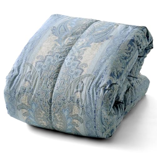 a Hѕzc | VO ~p { tXY zCg_bN _E90 0.7kg ̃Lg 2026N  EC24385 u[