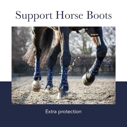 Image of LeMieux Support Horse Boots - Protective Gear and Training Equipment - Equine Boots, Wraps & Accessories