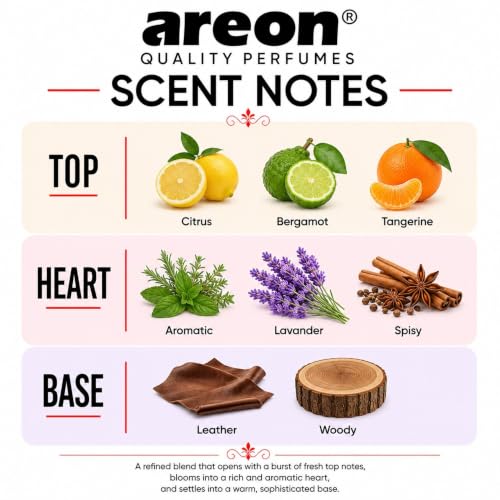 Image of AREON X Brown Leather Paper Hanging Car Air Freshener - Pack of 12