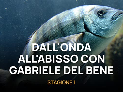 Dall'onda all'abisso con Gabriele del Bene