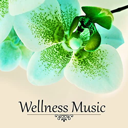 Play Wellness Music Bath Time Music, Enjoy Your Free Time in a Bathtub, Relaxing Sensual SPA