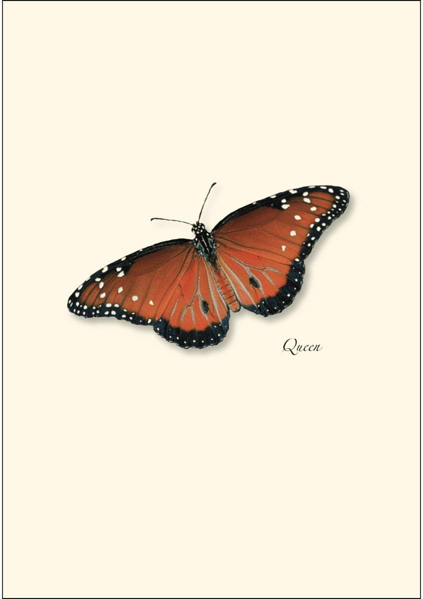 Earth Sky + Water - Butterfly Assortment II Notecard Set - 8 Blank Cards with Envelopes (2 each of 4 styles)